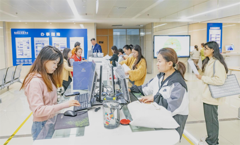 莲湖区 数字提速、服务增效的应用与技术咨询